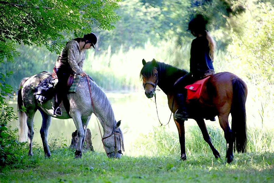randonnee-cheval-ethologie-jura-1