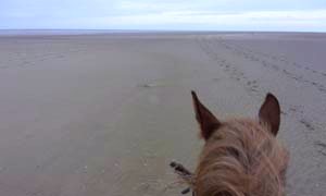 rando baie de somme | destinations cheval